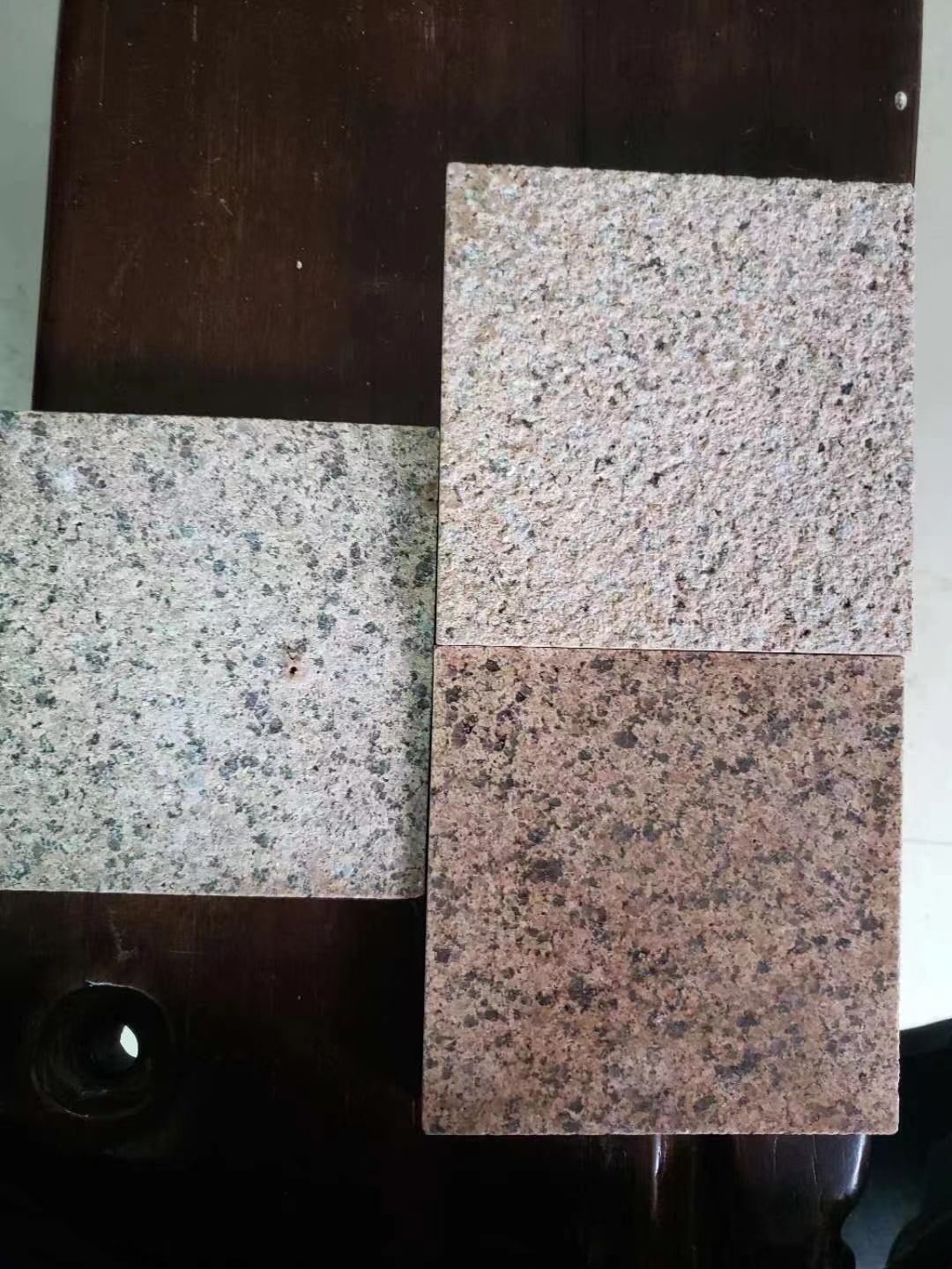 福建沙漠棕多少錢(qián)