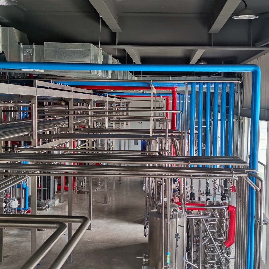 貼牌代工生產(chǎn)益生菌凍干粉固體飲料原料功能型食品添加劑青島諾森生物