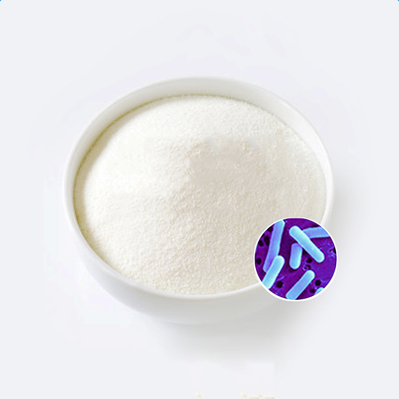 供應(yīng)羅伊氏乳桿菌凍干粉100億活菌益生菌固體飲料原料