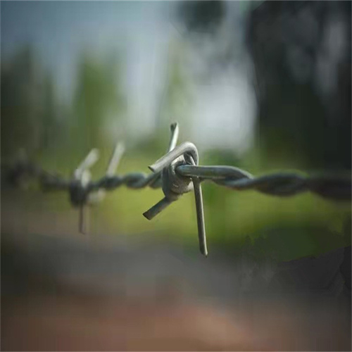 河北鍍鋅刺繩廠家供應(yīng)襄陽涂塑帶刺鐵絲滁州鍍鋅刺線