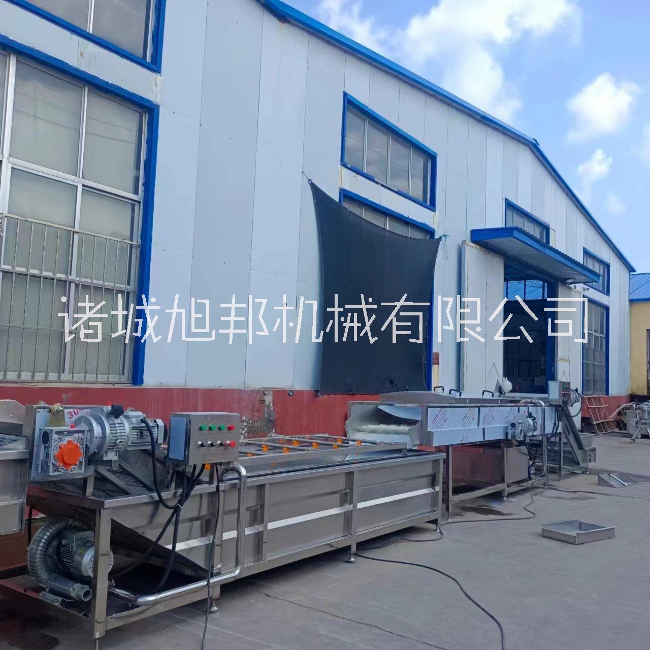 供應(yīng)平行毛輥清洗機(jī) 蘿卜洋芋清洗加工設(shè)備 多功能海鮮去泥流水線
