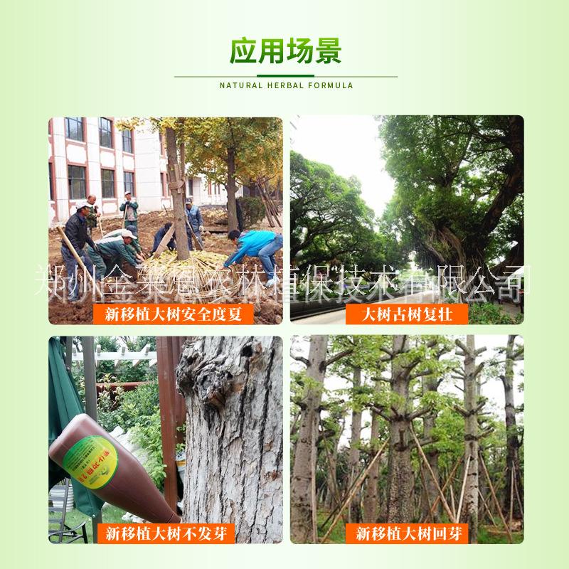 催芽抽枝寶