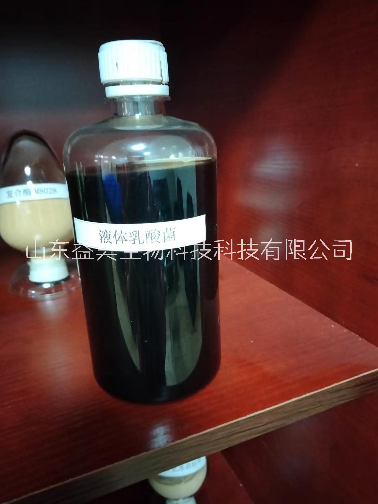 乳酸菌水產(chǎn)養(yǎng)殖降低PH值促消化防白腸