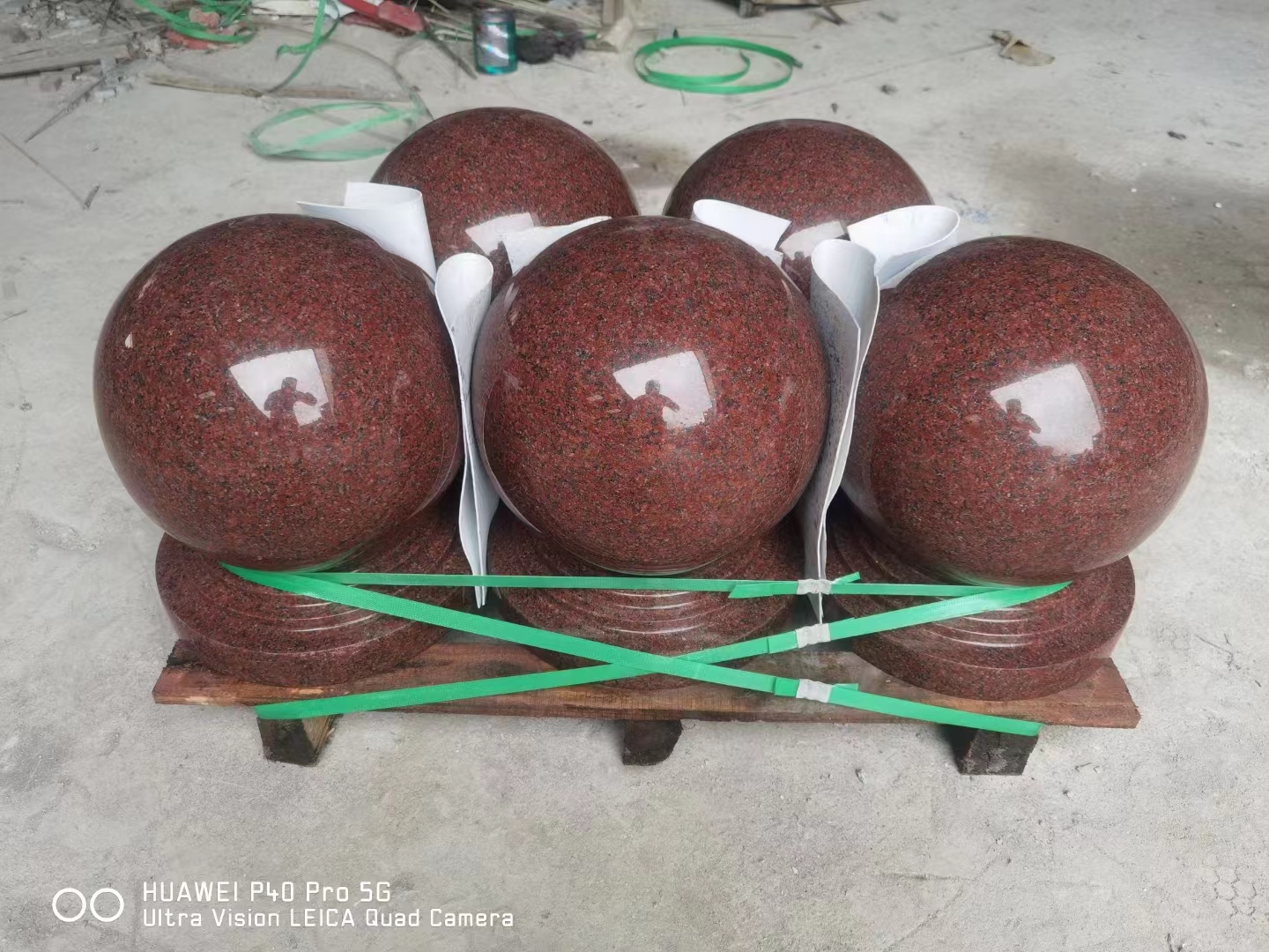 印度紅圓球多少錢