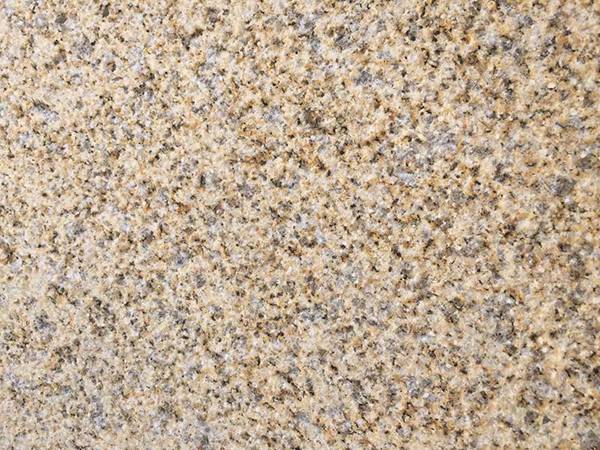 黃金麻大黃荔枝面多少錢