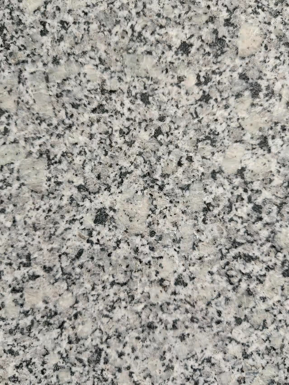 山東芝麻灰B加工廠
