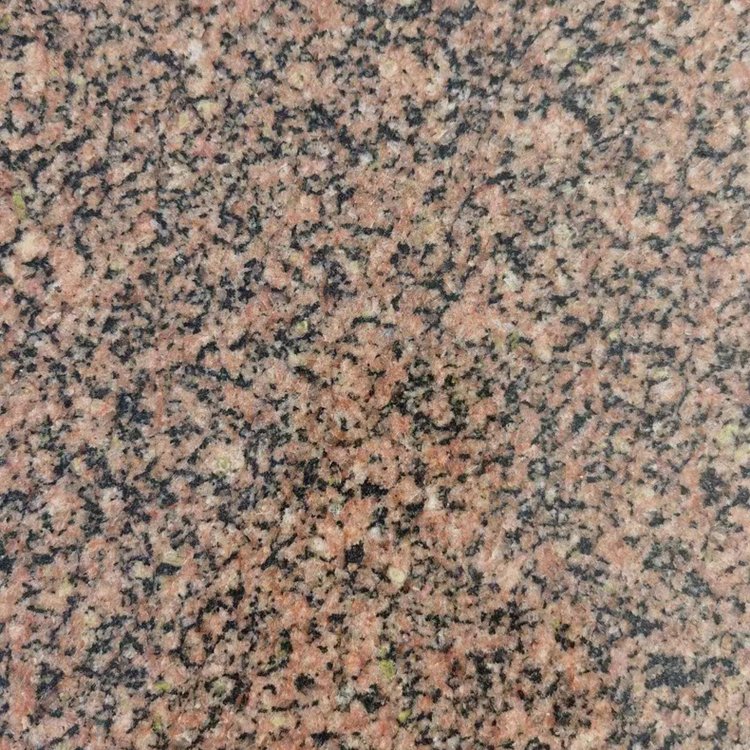 將軍紅哪里有  將軍紅多少錢