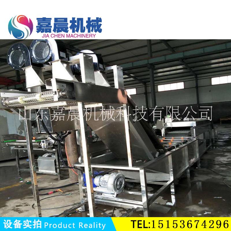 廣西圣女果清洗機(jī)全自動(dòng)氣泡清洗機(jī) 火龍果噴淋清洗設(shè)備 圣女果清洗機(jī)全自動(dòng)噴淋清洗設(shè)備