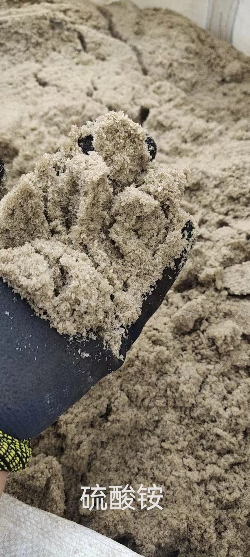 求購(gòu)副硫酸銨定制-電話-價(jià)格