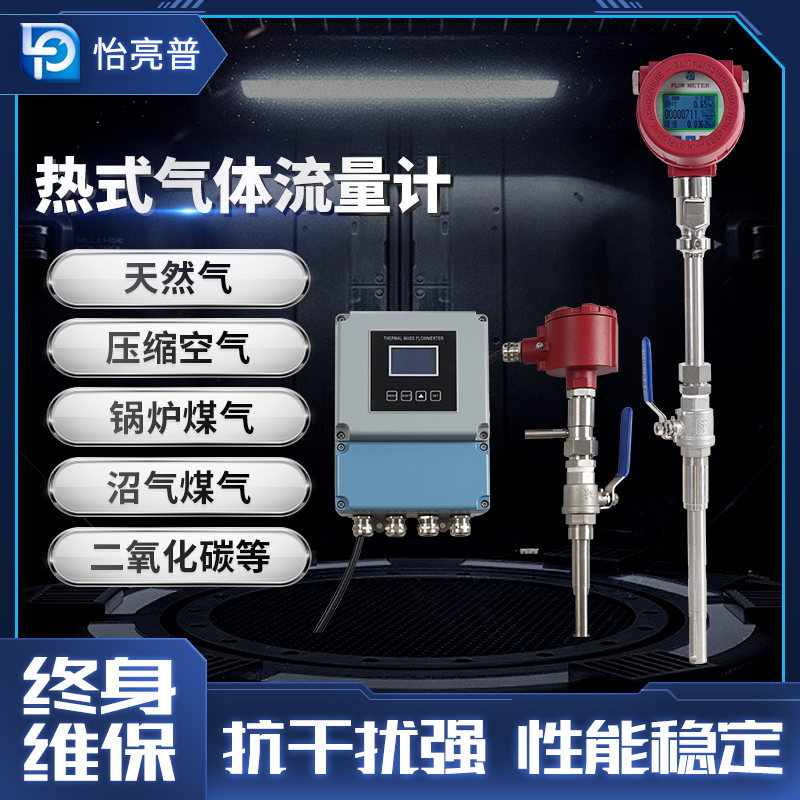氣體質(zhì)量流量計插入式空氣 氣體質(zhì)量流量計插入式蒸汽 氣體質(zhì)量流量計插入式氮氣 氣體質(zhì)量流量計插入式氮氣大口徑