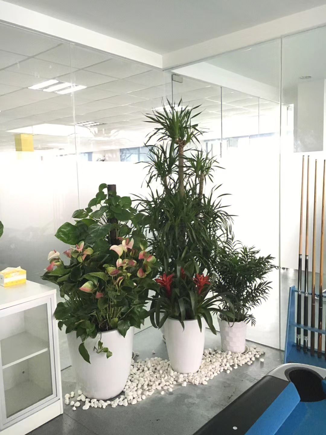 中山租花公司