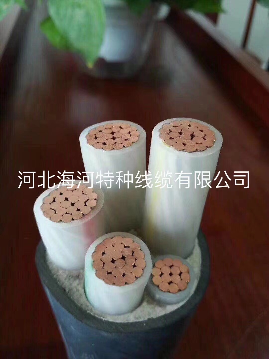 河北電力電纜ZRYJV22-0.6 電力電纜生產(chǎn)廠家