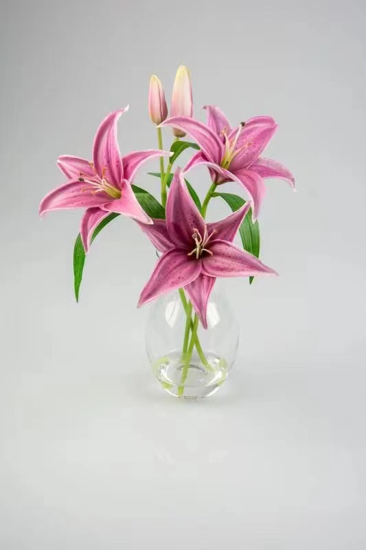 深圳仿真花假水生產(chǎn)設(shè)備價(jià)格 假水機(jī)器價(jià)格