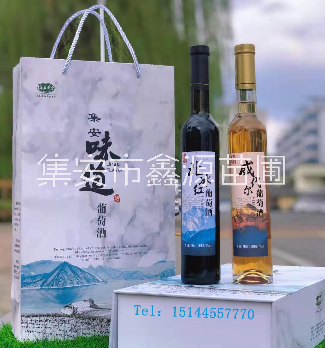 冰葡萄苗 威代爾葡萄苗 威代爾冰葡萄苗