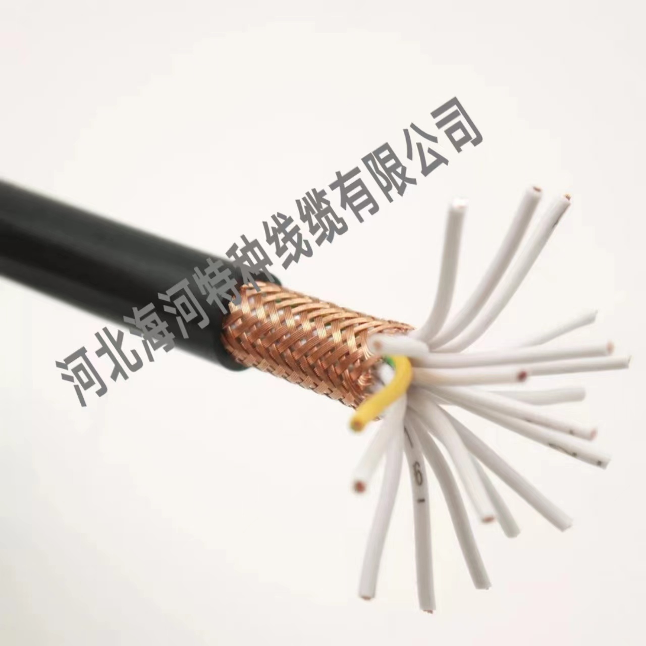 河北控制屏蔽電纜價(jià)格  控制屏蔽電纜KVVP-KVVR生產(chǎn)廠家