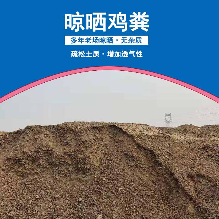 江蘇干雞糞批發(fā)價格 新疆干雞糞哪里有賣的 福建干雞糞廠家有哪些 山東干雞糞多少錢一噸
