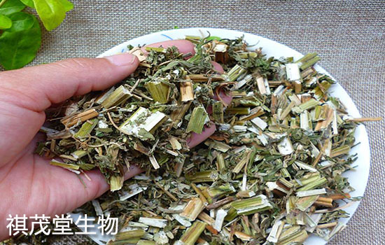 益母草提取物的用法用量和廠家價格
