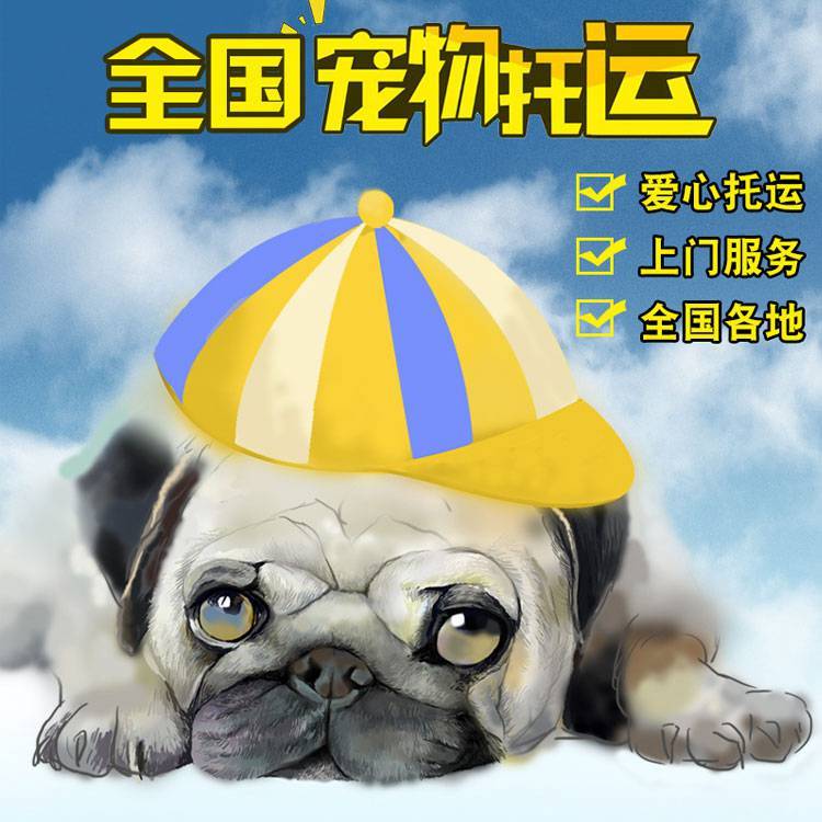 烏魯木齊至無錫寵物貓狗陸運(yùn)物流 零擔(dān)貨物運(yùn)輸    寵物托運(yùn)全國電話   烏魯木齊到無錫寵物托運(yùn)