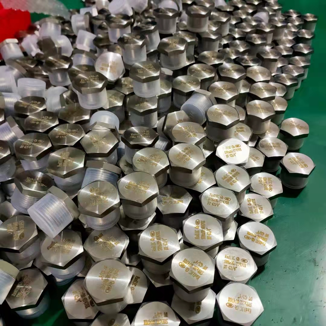 旋入式塞頭防爆堵頭批發(fā)_價錢_出廠價_銷售_聯(lián)系電話_找哪家【樂清振磊防爆電器有限公司】