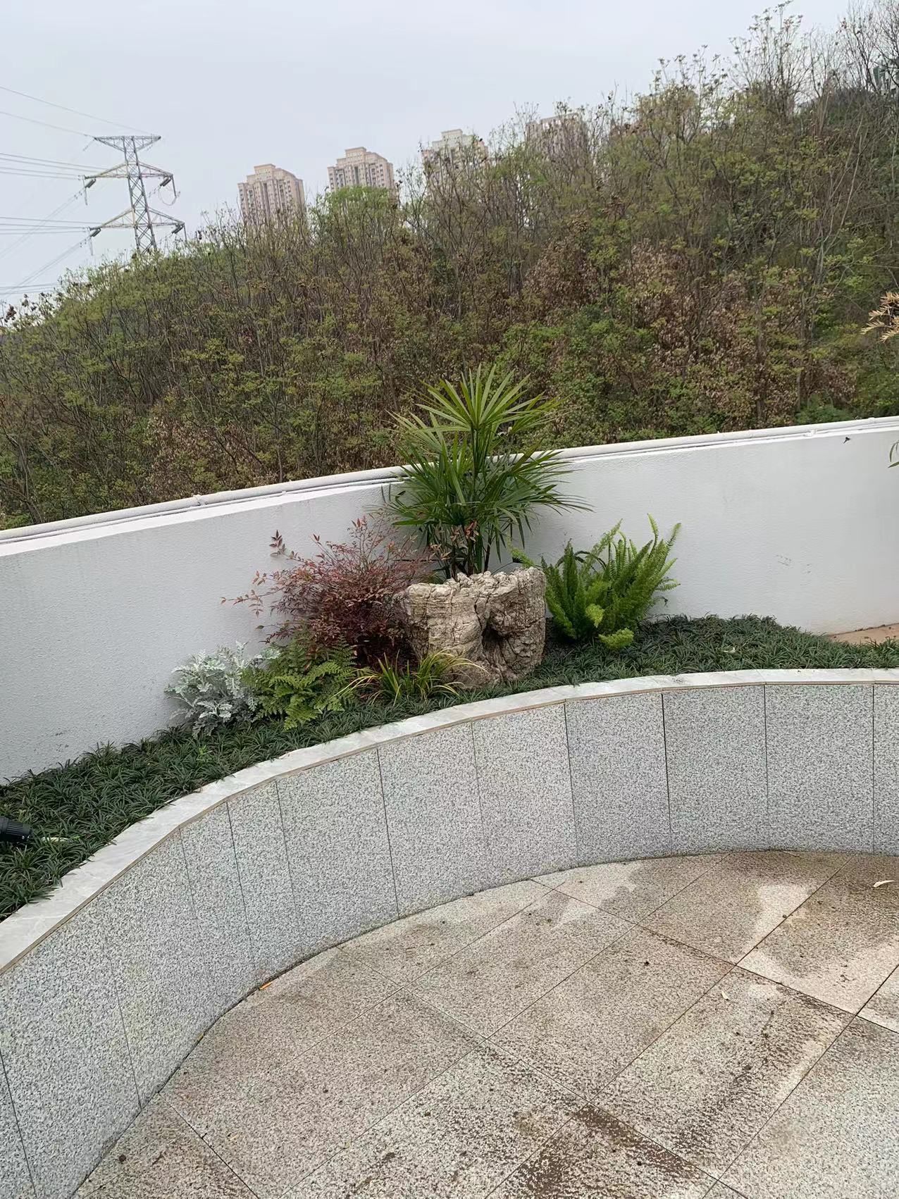 私家花園植物搭配哪家好-電話-廠家