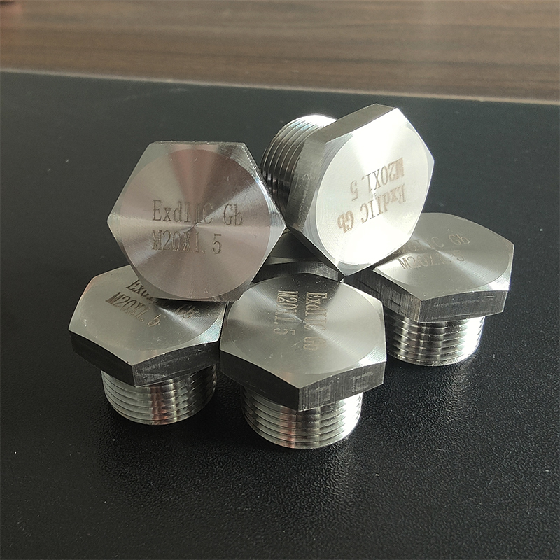 不銹鋼防爆堵頭 金屬悶蓋 接地環(huán) 變徑接頭 【樂清振磊防爆電器有限公司】