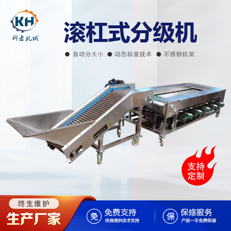 滾杠式分級機 新疆大棗分級篩選機 圣女果自動分級機