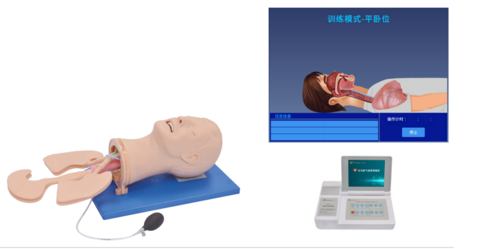 JY/J58環(huán)甲膜穿刺及氣管切開插管訓(xùn)練模型 氣管插管模型