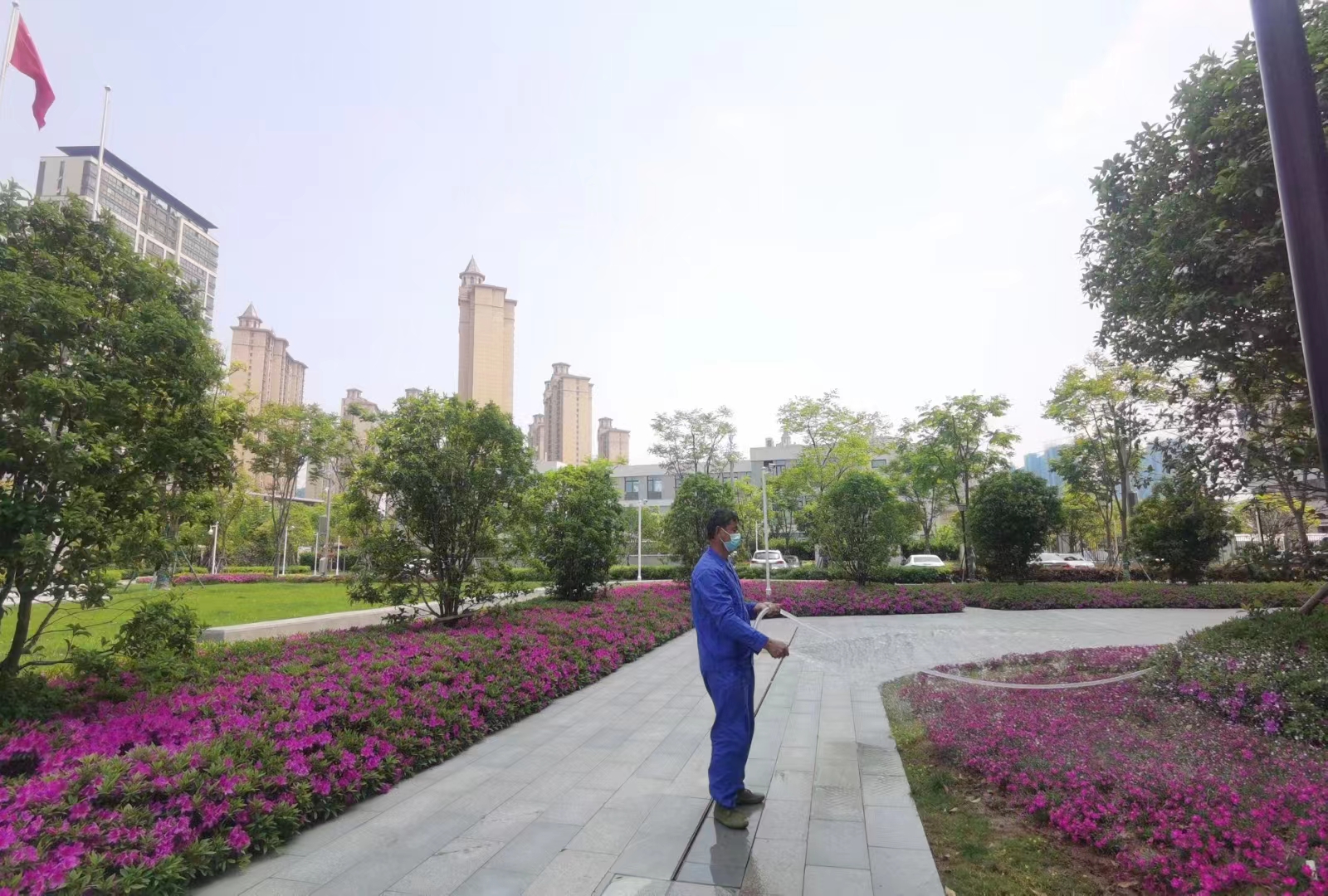 昌平庭院立體綠化維護(hù)價(jià)格 北京多場(chǎng)景可用花卉修剪哪家好