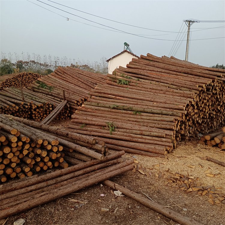 湖北杉木桿廠家-價格-供應-批發(fā)