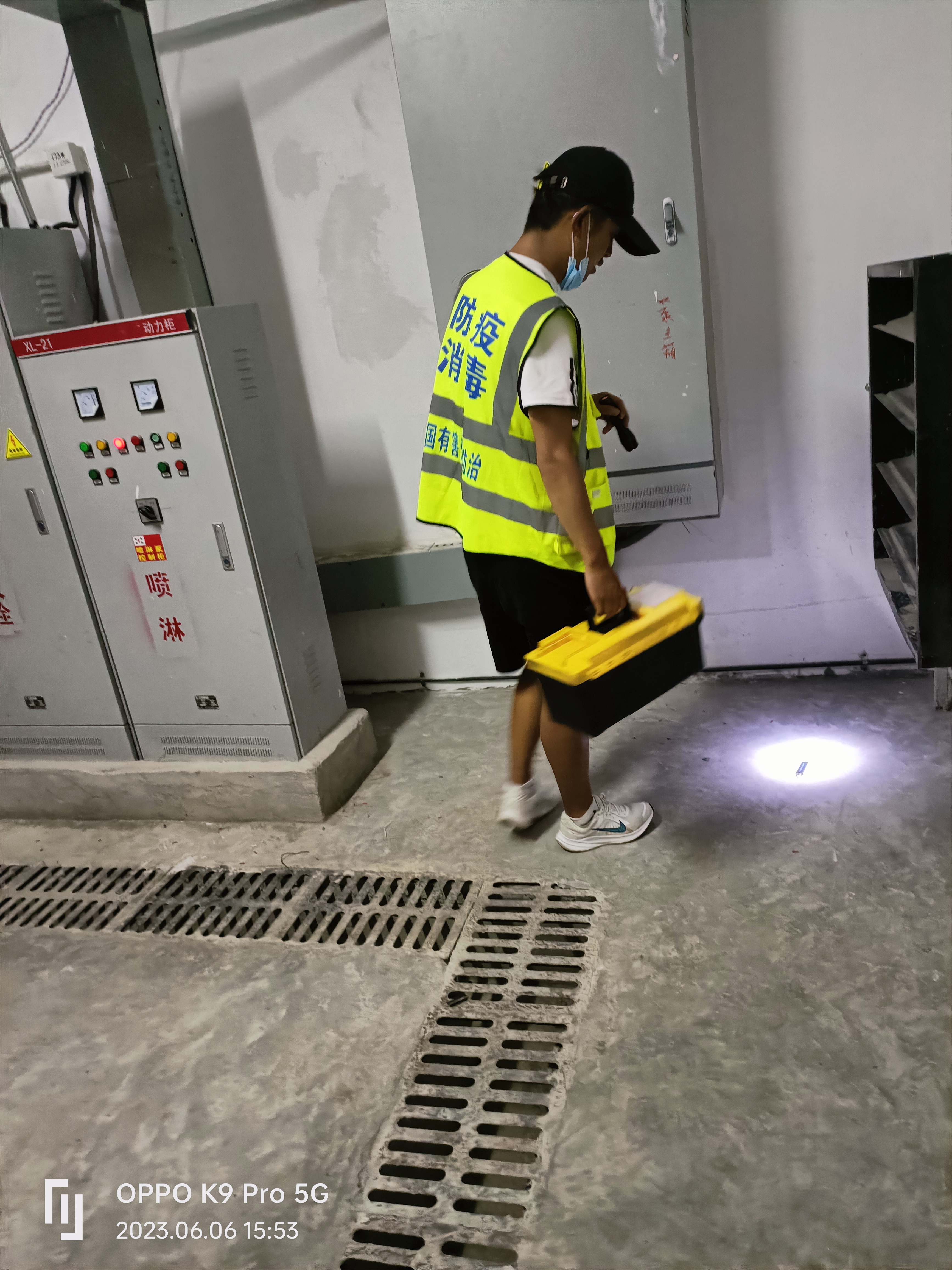 麗江滅鼠滅蟑螂公司-除害蟲除蟲除蟻提供滅跳蚤服務(wù)-滅螞蟻價(jià)格