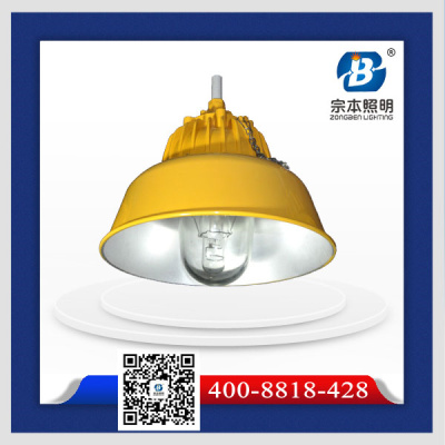 供應GB8154內場防爆燈紫光GB8154