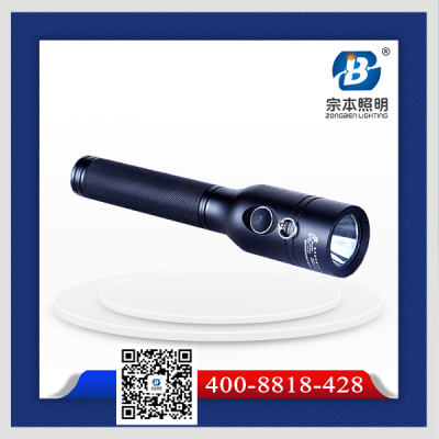 供應(yīng)YJ1030*電筒 紫光YJ1030*電筒