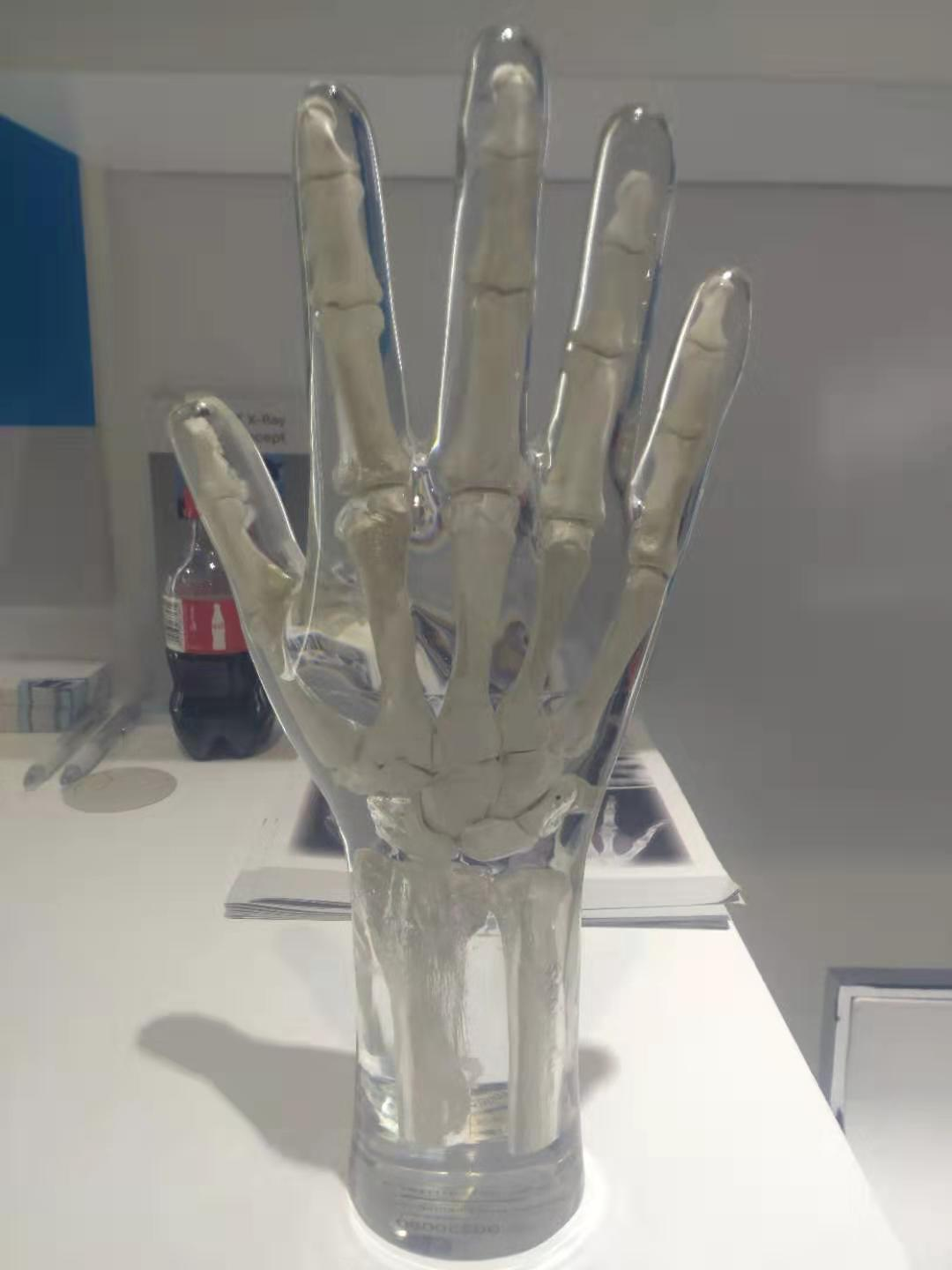 北京供應(yīng)X射線手部模體-真人骨頭X射線手部模體報(bào)價(jià)單-哪里有
