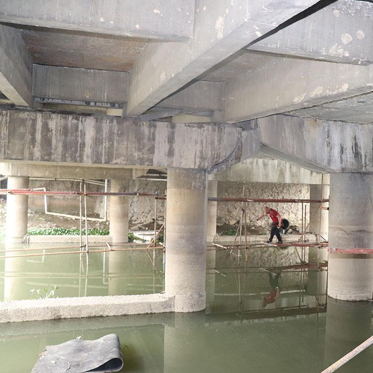 舊橋伸縮縫檢測 老橋的樁基檢測 橋梁支座檢測