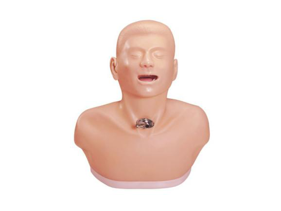 成人氣管切開護(hù)理模型JY/H23佳悅科教通
