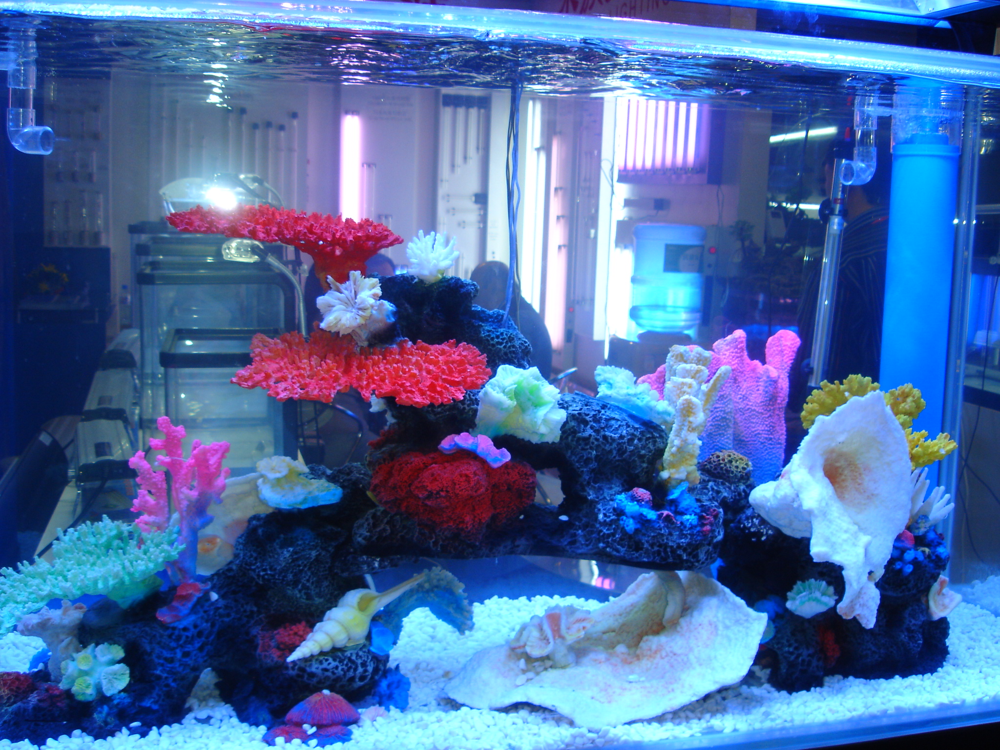 水族館設(shè)計(jì)_海洋館建造施工_亞克力魚缸一站式水族服務(wù)
