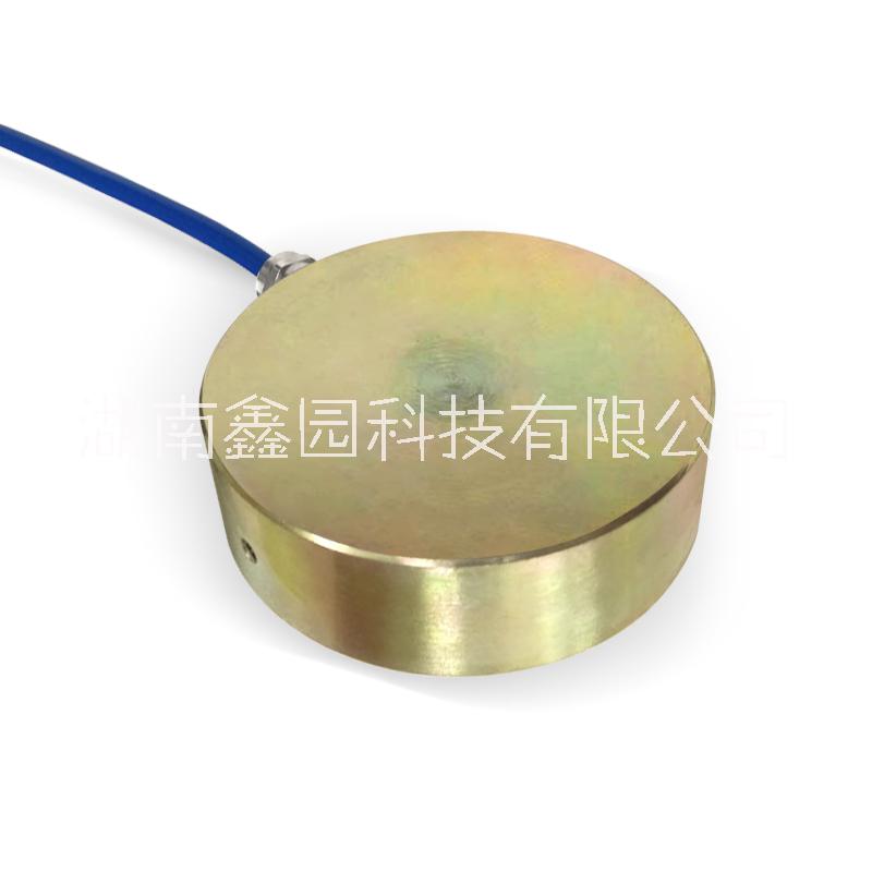 供應(yīng)長(zhǎng)沙喜雅XY-TYSXX雙膜土壓力盒 振弦式土壓力盒