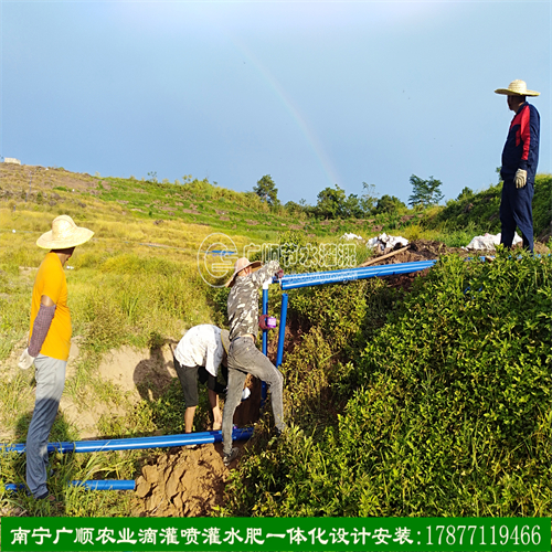 廣西大面積基地灌溉設(shè)備 水肥一體化工程設(shè)計安裝