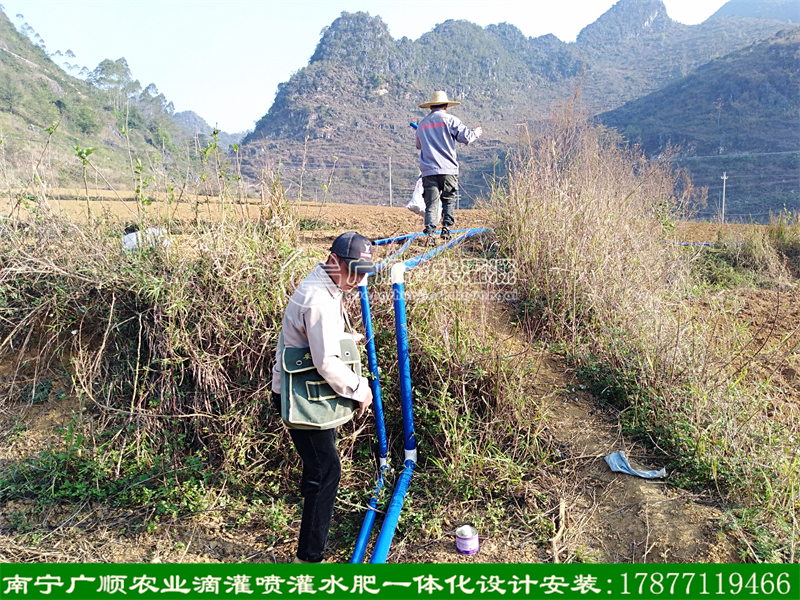 廣西大面積基地灌溉設(shè)備 水肥一體化工程設(shè)計安裝