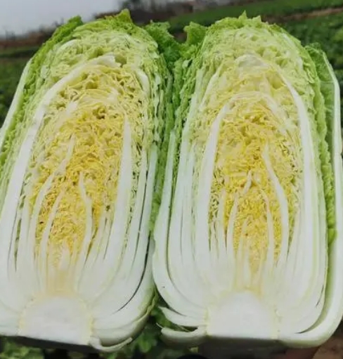 生鮮蔬菜配送工廠企業(yè)事業(yè)單位學(xué)校*職工食堂