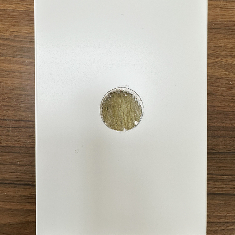 成都 大量供應(yīng)巖棉夾芯板材廠商_機(jī)制保溫防火凈化板批發(fā)價(jià)格