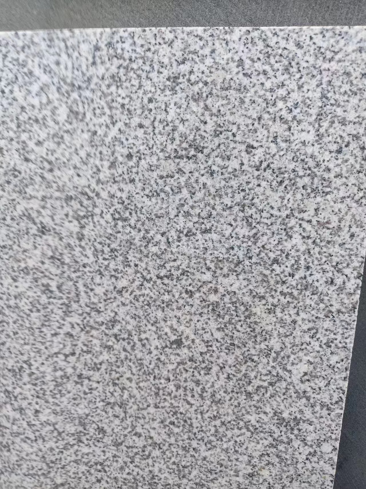 芝麻白 芝麻白價格