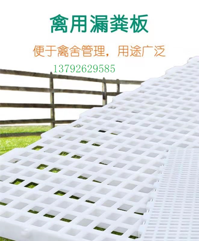 雞用地板 塑料漏糞墊板 批發(fā)養(yǎng)雞漏糞板 供應(yīng)萬興畜牧雞舍鴨舍雞用地板 規(guī)格1200×500×40