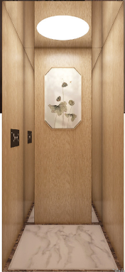 供應(yīng)家用電梯  新中式