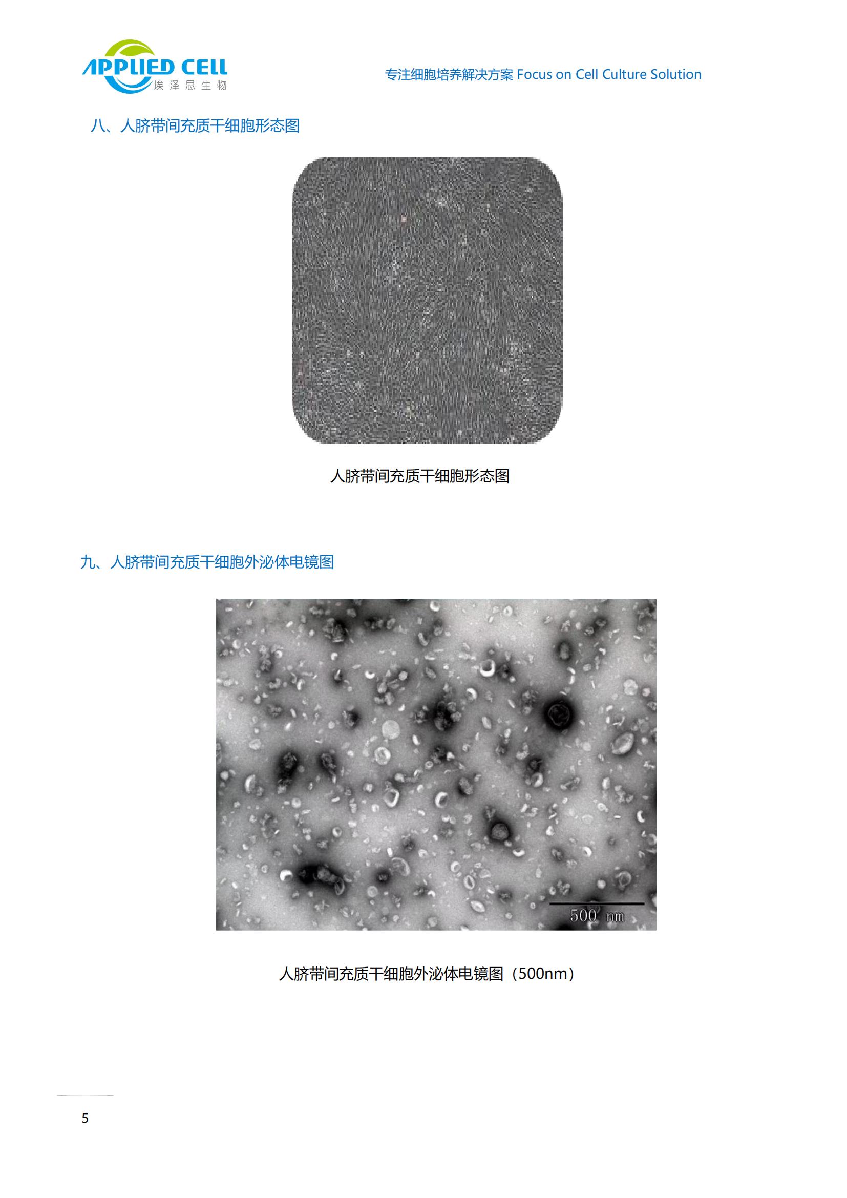 AC-1001085人間充質(zhì)干細(xì)胞外泌體培養(yǎng)基，上海埃澤思，可用于原代分離