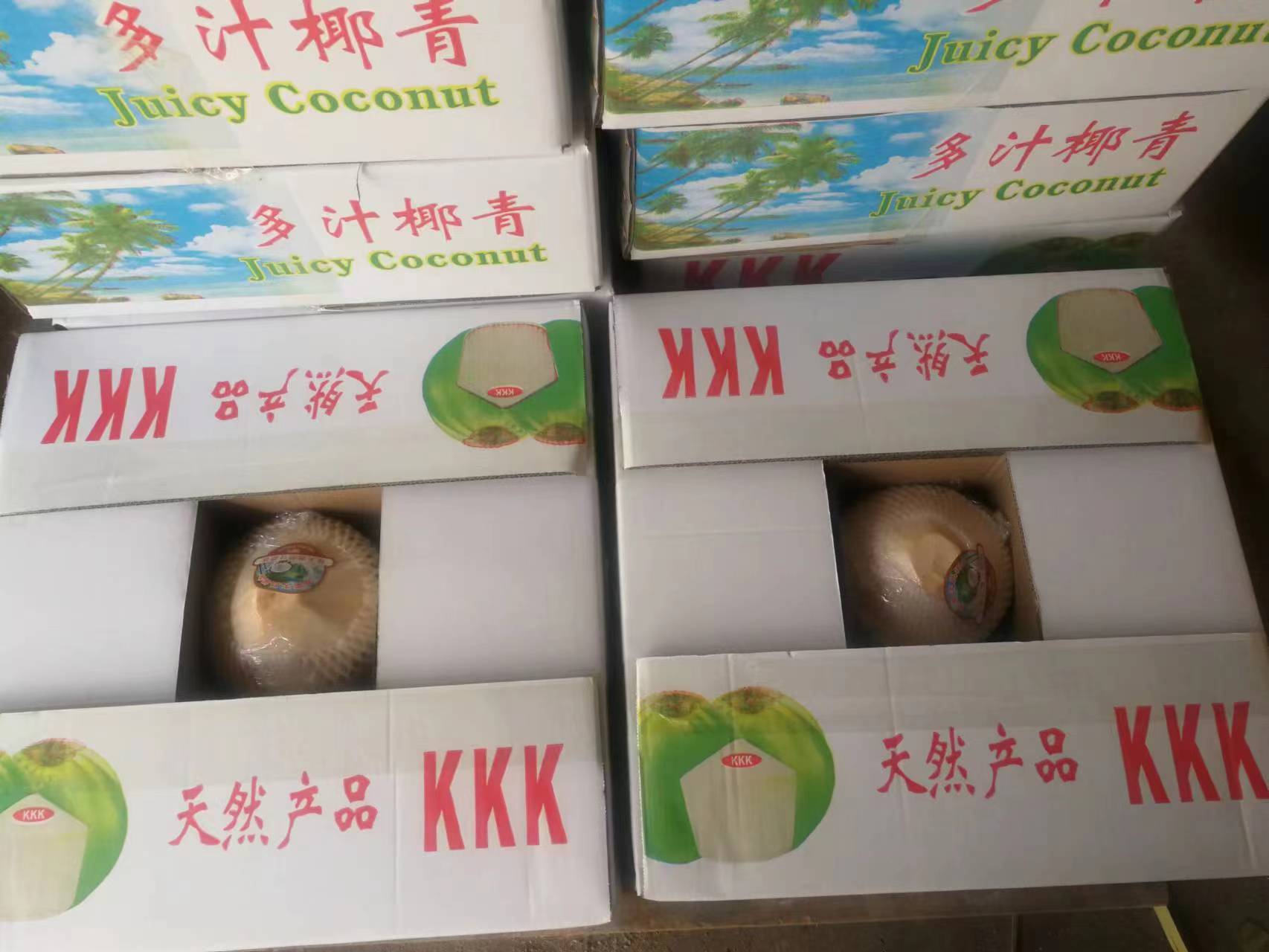 天然椰子價(jià)格-天然椰子廠家-天然椰子銷售 天然椰子