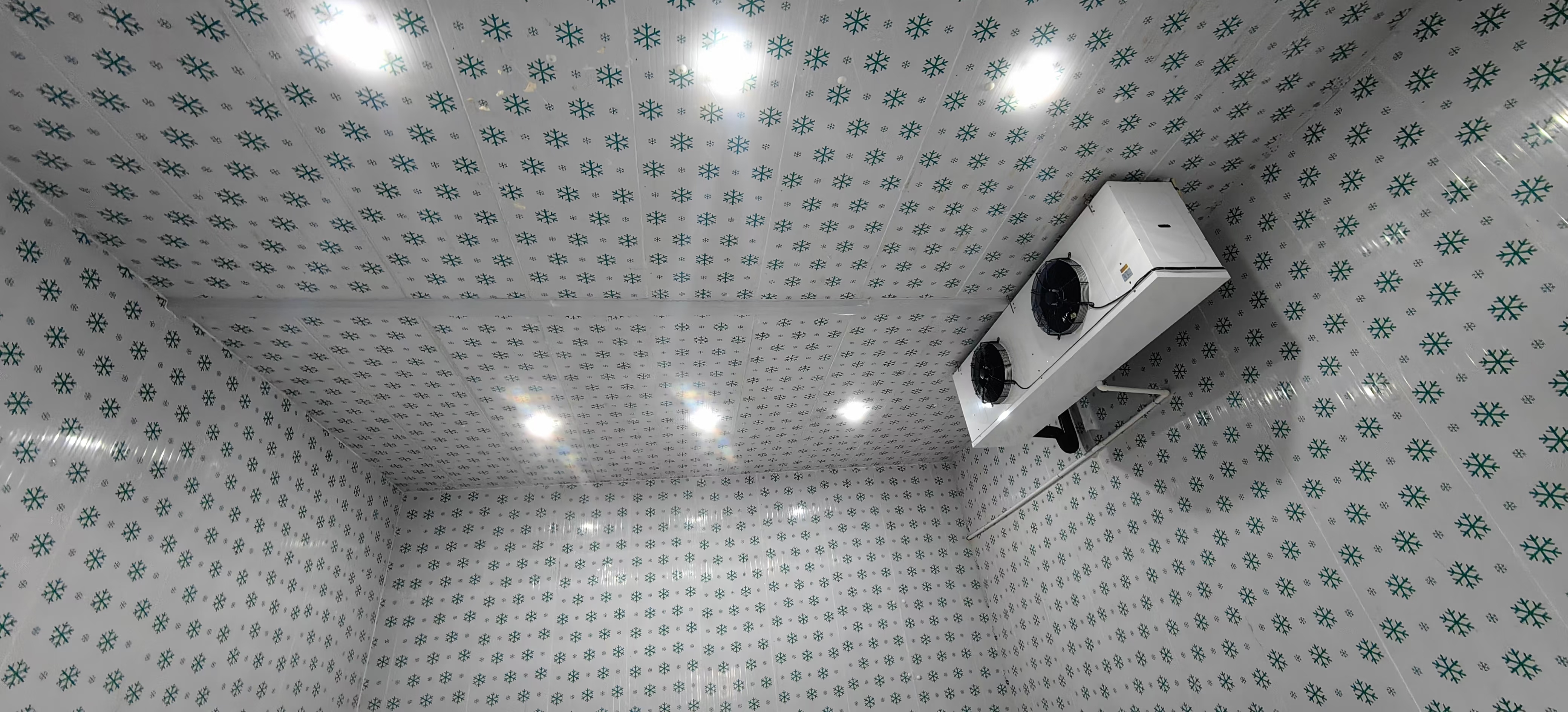 桂林冷庫廠家建造-桂林速凍庫價(jià)格-冷庫安裝施工公司電話-哪里好