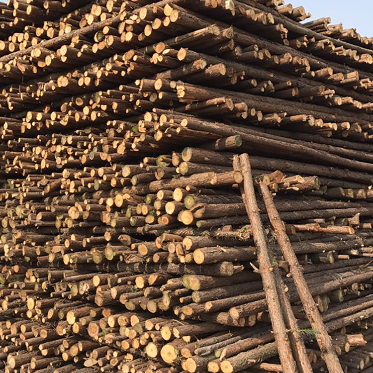 松木桩 防洪抗汛木桩 3米小头松木桩 2米松木杆