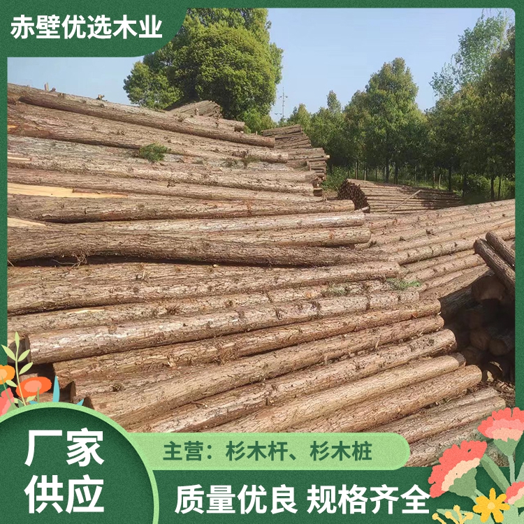 江蘇杉木 園林綠化支撐架 打樁木 松木桿