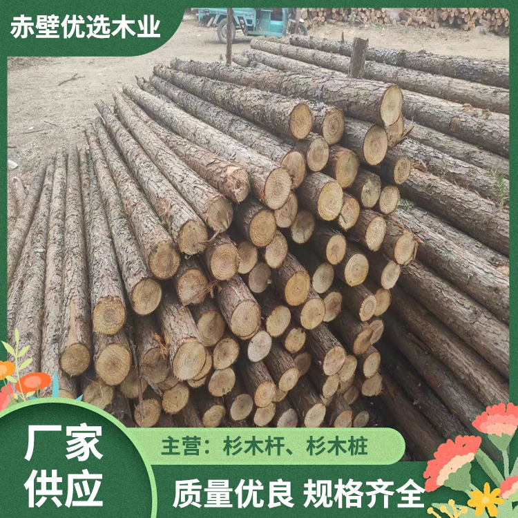 树木固定支撑杆 防汛杉木杆 湿地松原木松桩 工地打桩木